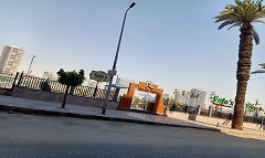 حملات مكثفة لرفع كفاءة منظومة النظافة بنطاق الحي