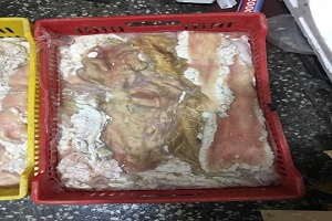 مديرية الطب البيطري: ضبط 673.5 كجم لحوم ودواجن غير صالحة للإستهلاك الآدمي