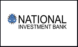 بنك الإستثمار القومي