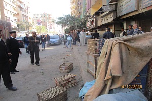 رئيس حي دار السلام: إيقاف أعمال بناء مخالف ورفع إشغالات شارعي الفيوم وأحمد زكى