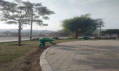 الاهتمام بالمسطحات الخضراء والاشجار وزيادة المزروعات بالحي