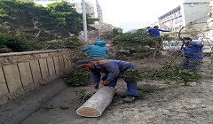 تكثيف حملات النظافة اليومية بنطاق الحي