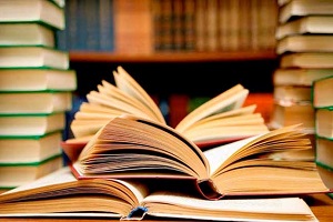 "قصور الثقافة" تفتتح برنامج «تصنيف وفهرسة المكتبات» عبر تقنية البث المباشر